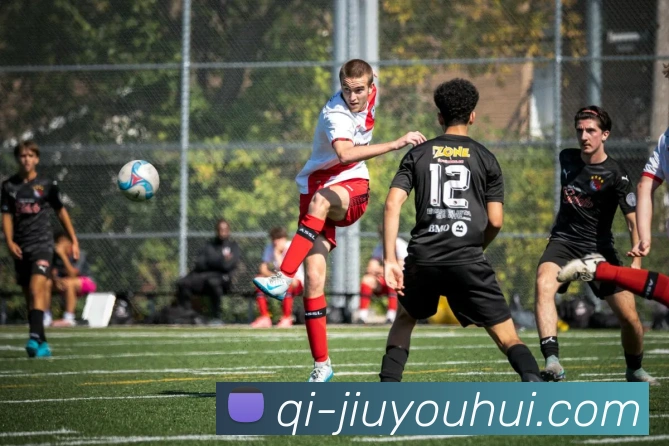 J9九游会官网平台生态图